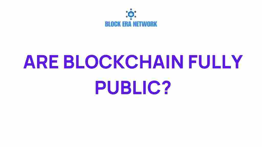 are-blockchains-truly-public