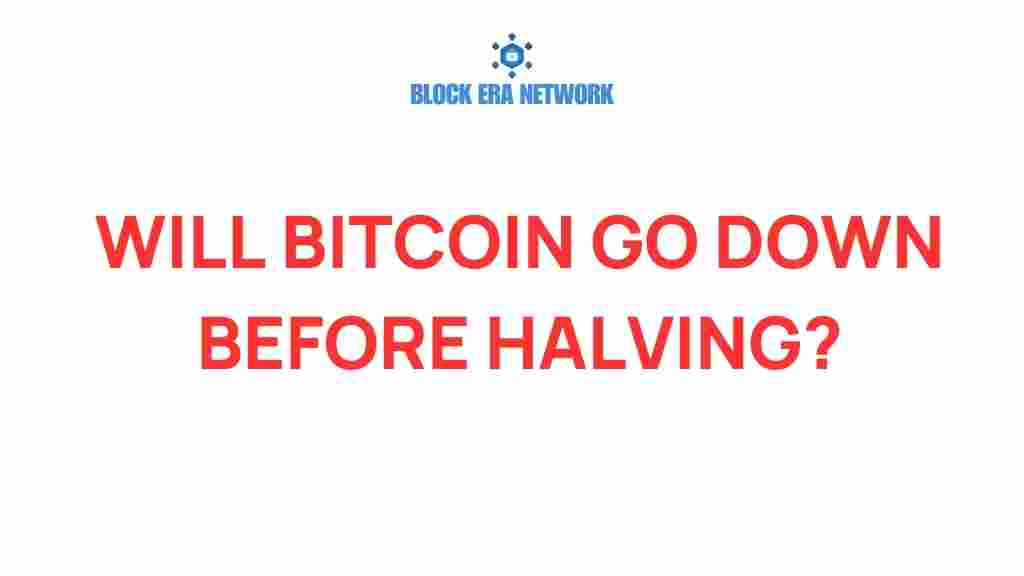 will-bitcoin-price-plummet-halving